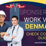 sponsored denmark work visa